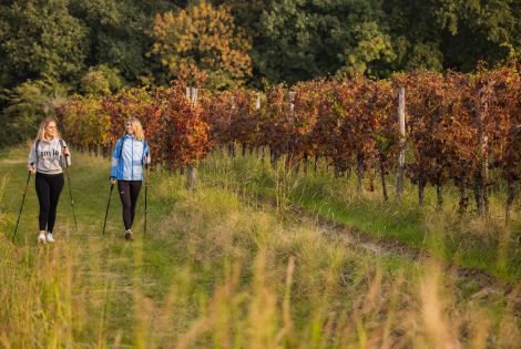 A culinary trekking adventure